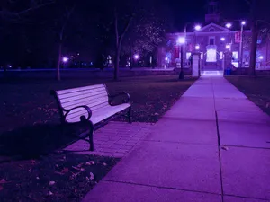Take A Moment To Appreciate The Beauty Of This Purple Aesthetic Park Bench. Wallpaper