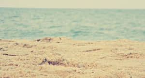 Take A Walk Down Memory Lane Wallpaper