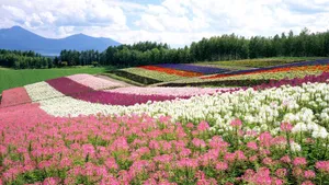 Take In The Beautiful Scenery Of Japan Wallpaper