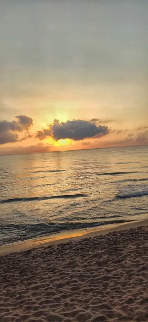 Take The Stress Out Of Your Life With The Calm Mobile App Wallpaper