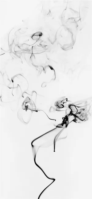 Take Your Smartphone Experience To The Next Level With The Ultra-modern Capabilities Of The Iphone 11 In White Wallpaper