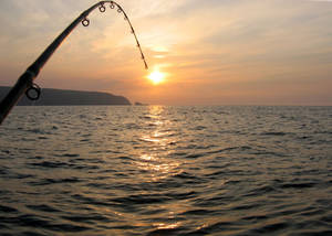 Taking A Break And Enjoying The Peacefulness Of A Day On The Ocean Fishing Wallpaper