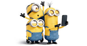 Taking Selfie Minion Desktop Wallpaper