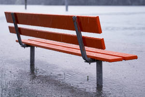 Taking Shelter From The Downpour Wallpaper