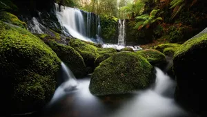 Tasmania Horseshoe Falls Wallpaper