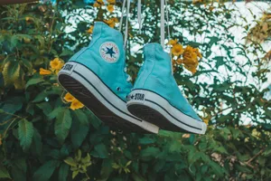 Teal Converse Hanging Wallpaper