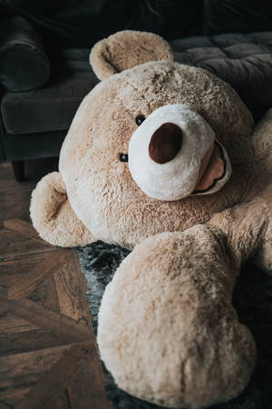 Teddy Bear Plush Wallpaper