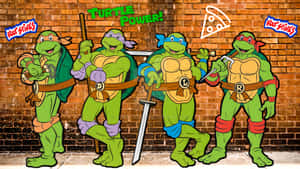 Teenage Mutant Ninja Turtles Ready To Battle Wallpaper