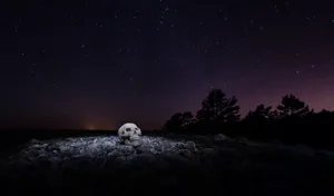 Tengkorak Dark Night Scenery Wallpaper