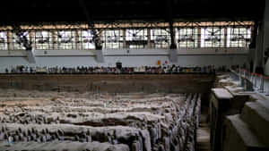 Terracotta Warriors Memorial Art Museum Wallpaper