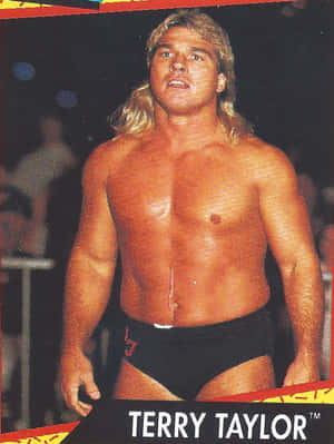Terry Taylor Classic Wrestling Wallpaper