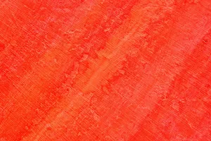 Textured Orange Wall Wallpaper