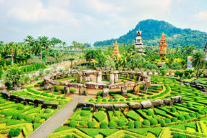Thailand's Botanical Garden Wallpaper