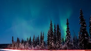 The Aurora Borealis Is Seen Over A Road With Trees Wallpaper