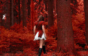 The Beautiful Red Forest Wallpaper