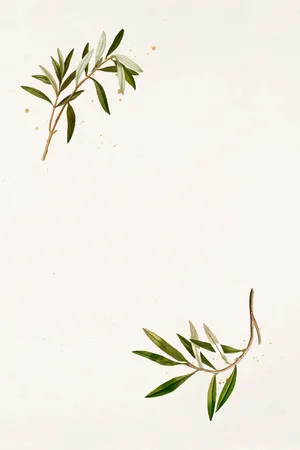 The Beauty And Strength Of An Olive Tree Wallpaper
