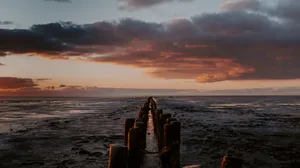 The Beauty Of An Ocean Sunset Wallpaper