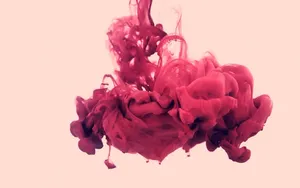 The Beauty Of Fog Wallpaper