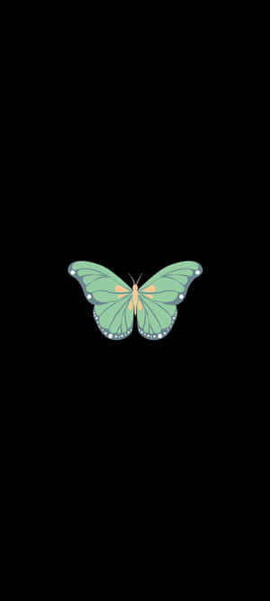 The Beauty Of Nature - A Delicate Green Butterfly Wallpaper