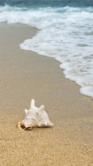 The Beauty Of The Ocean Wallpaper