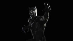 The Black Panther - A Heroic Figure Fighting For Justice Wallpaper