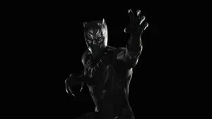 The Black Panther - A Heroic Figure Fighting For Justice Wallpaper
