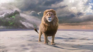 The Chronicles Of Narnia Great Lion Wallpaper