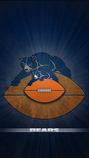 The City Of Chicago Brings Together All Nhl, Nfl, Nba And Mlb Teams Wallpaper