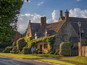 The Cotswolds Shrubs United Kingdom Wallpaper