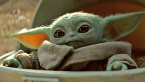 “the Cutest Baby Yoda Around” Wallpaper