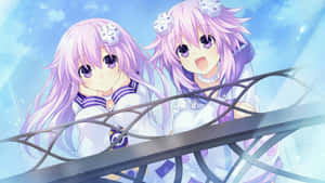 The Goddesses Of Hyperdimension Neptunia Wallpaper