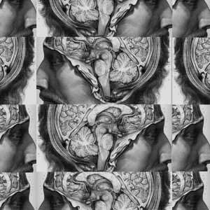 The Good Doctor Brain Intro Image Wallpaper