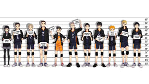 “the Heights Of Karasuno High - Haikyuu” Wallpaper