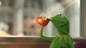 The Iconic, Friendly Face Of Kermit The Frog. Wallpaper