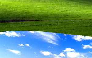 The Iconic Windows Xp Bliss Reversed Wallpaper Wallpaper