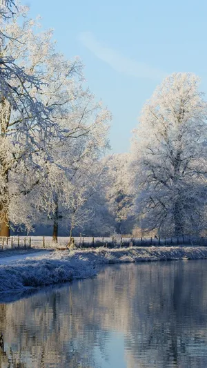 The Iphone 6 Plus Blending In With Nature Wallpaper