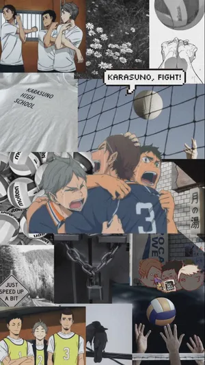 The Karasuno Team Is Ready To Soar To Their Next Victory! Wallpaper