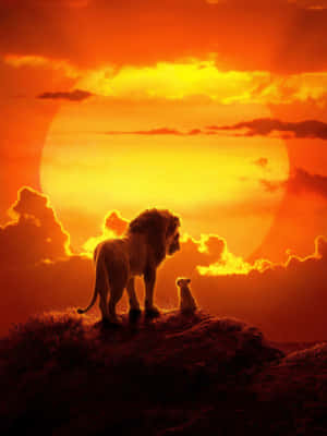 The Majestic Beauty Of The Lion King Wallpaper