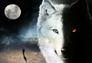 The Majestic Mystical Wolf Wallpaper