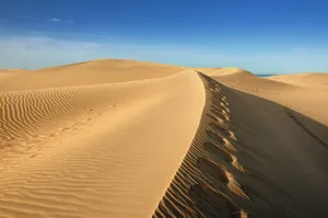 The Majestic Wind Tracks Of The Desert Wallpaper