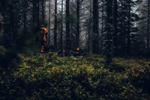 The Man In A Forgotten Forest Wallpaper