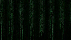 The Matrix Is Lit Wallpaper