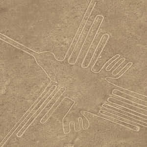 The Nazca Lines Wallpaper