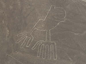 The Nazca Lines Wallpaper