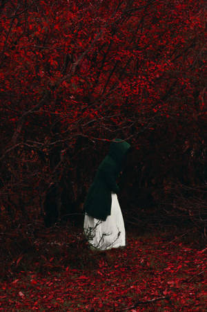 The Red Hood In The Forest, Surrounded By Autumn Foliage Wallpaper