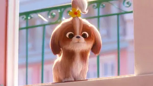 The Secret Life Of Pets 2 Cute Puppy Wallpaper