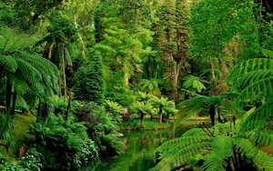 The Splendor Of Nature In A Jungle Paradise Wallpaper