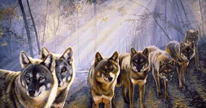 “the Strength Of The Wolf Is The Pack” Wallpaper