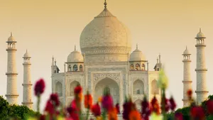 The Taj Mahal Garden. Wallpaper