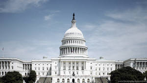 The White House On A Sunny Day Wallpaper